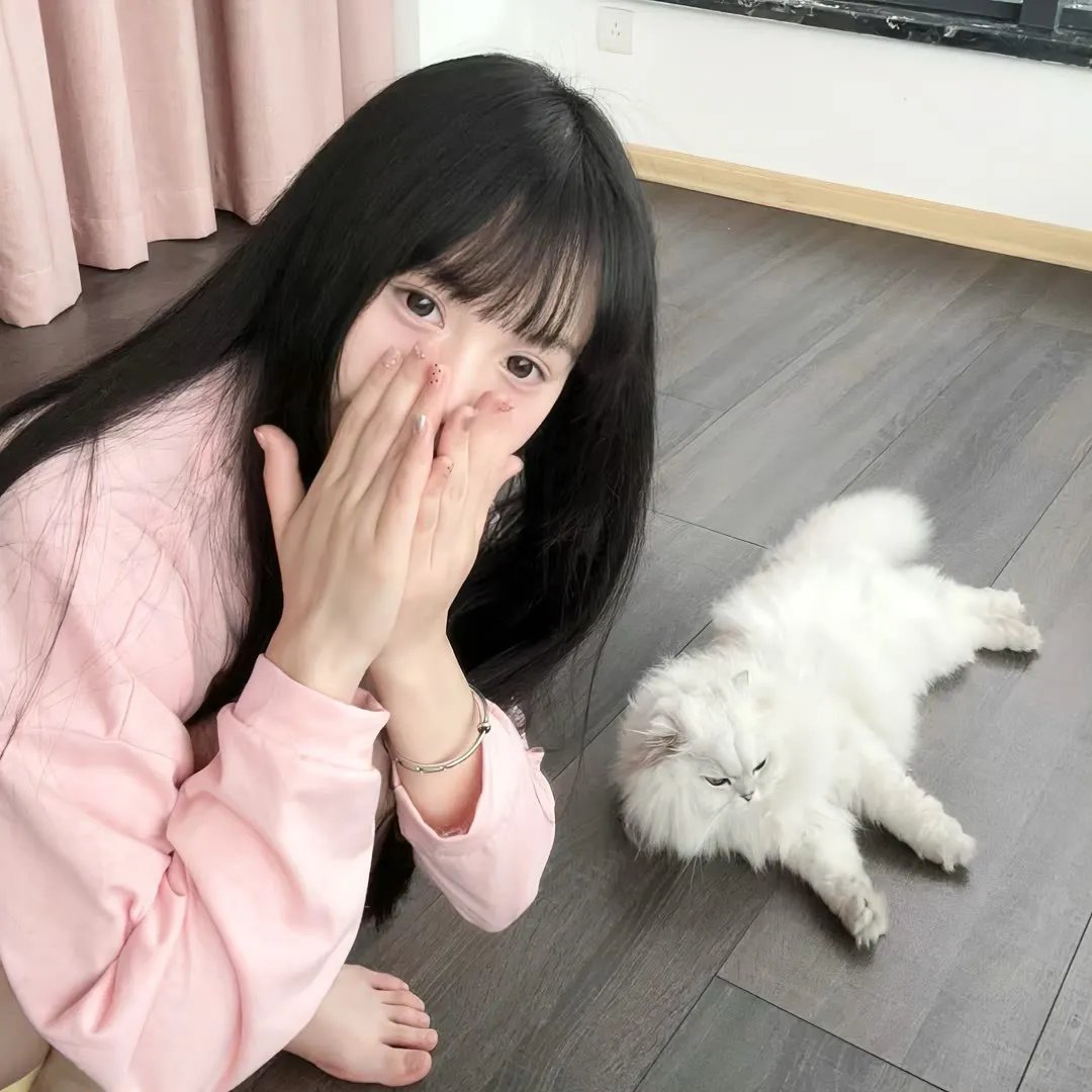 外科医生马丁 第五季